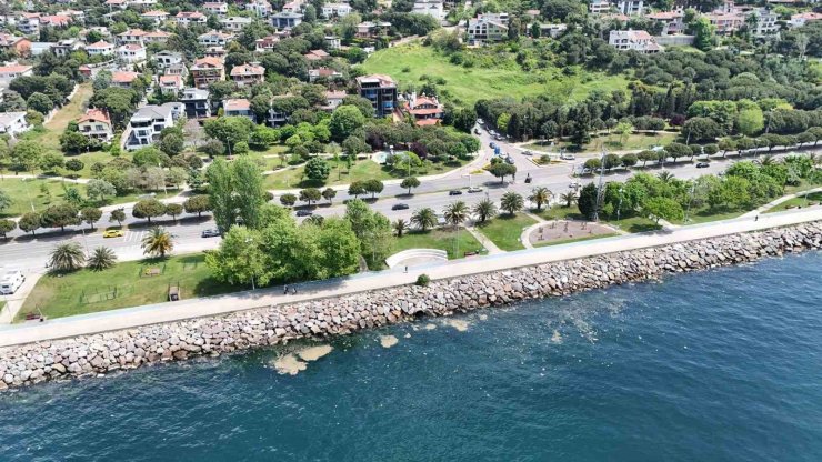 MALTEPE SAHİL ŞERİDİNDE MÜSİLAJ GÖRÜLDÜ