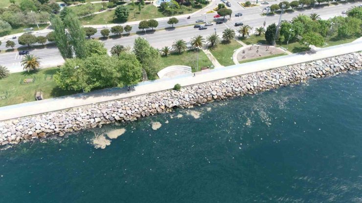 MALTEPE SAHİL ŞERİDİNDE MÜSİLAJ GÖRÜLDÜ