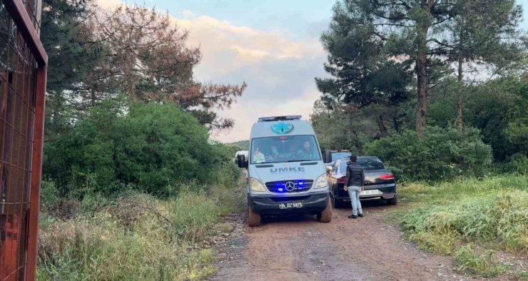 MALTEPE’DE 2 GÜNDÜR KAYIPTI, ORMANDA CANSIZ BEDENİ BULUNDU