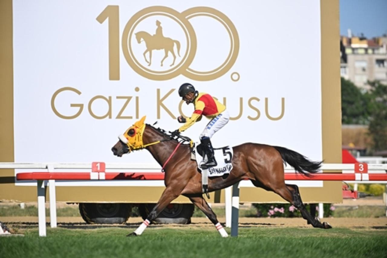 vdq035zgb7abaieytfln1ths.jpg